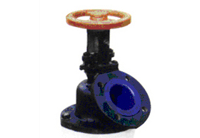 Glass lined Drain Valve